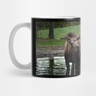 Moose Mug